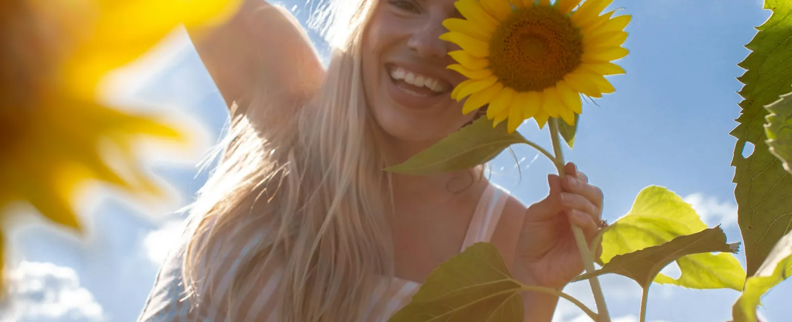Smiling woman in striped dress holding a sunflower with blue sky and sunflowers background outdoors.