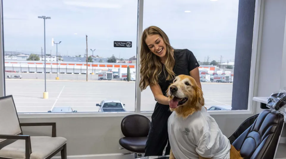 Happy woman in black scrubs petting golden retriever in a white shirt sitting on a chair in a bright room.