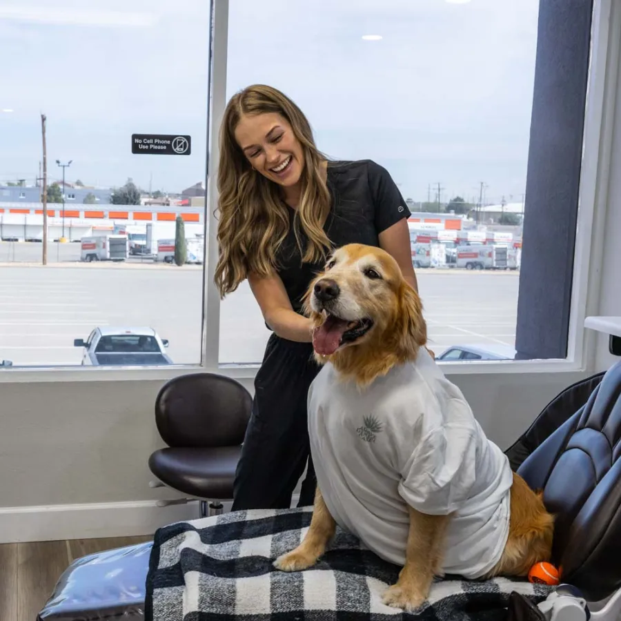 Happy woman in black scrubs petting golden retriever in a white shirt sitting on a chair in a bright room.